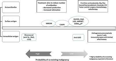 Management of Autoimmune Encephalitis: An Observational Monocentric Study of 38 Patients